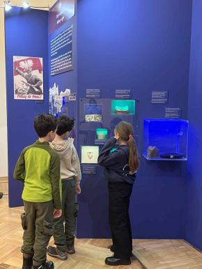 3c w Muzeum Niepodległości
